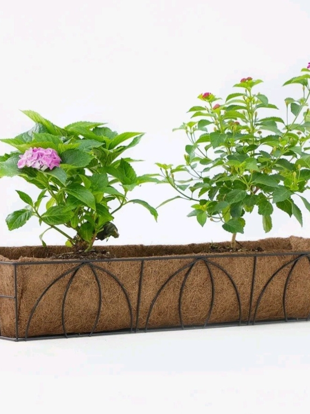 Decorative Metal Window Box Planter with Coconut Coir Liner - Brown